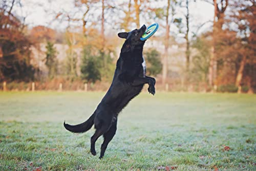 ChuckIt! Zipflight Flyer Dog Frisbee Toy Floats; Gentle On Dog's Teeth And Gums; Glow In The Dark Medium