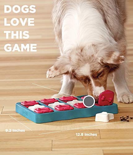 Outward Hound Nina Ottosson Dog Brick Interactive Treat Puzzle Dog Toy, Intermediate