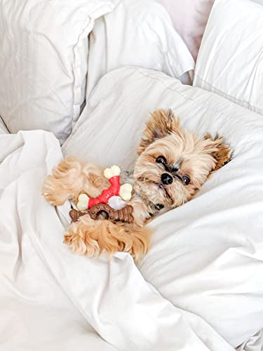 Nylabone Double Bone Power Chew Long-Lasting Dog Toy Bacon X-Small/Petite (1 Count)