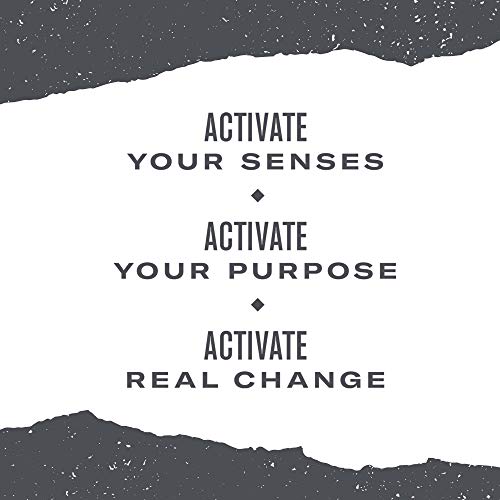 Numi Organic Tea Chocolate Pu-erh, Black Tea, 16 Count of Tea Bags, Pack of 1 (Packaging May Vary)