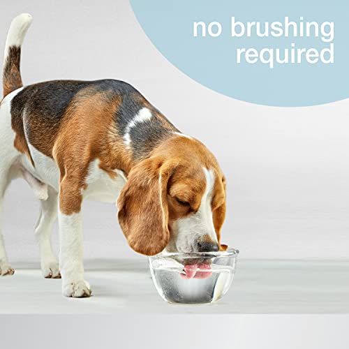 Nylabone Advanced Oral Care Water Additive for Dogs - Liquid Tartar Remover Original 16 oz. (1 Count)