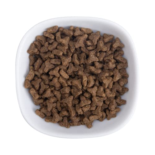 Health Extension Dry Cat Food, Natural Food with Added Vitamins and Minerals, Suitable for All Kittens and Adult Cats, Turkey and Salmon Recipe with Whole Vegetable and Berries (15 Pound / 6.8 kg)