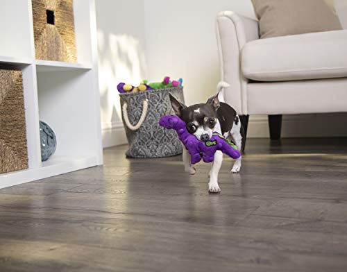 goDog Dinos Bruto Just for Me Squeaker Plush Pet Toy for Dogs and Puppies, Soft and Durable, Tough and Chew Resistant, Reinforced Seams - Purple, Mini