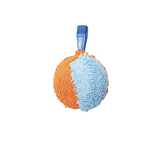 Chuckit! Indoor Shaker Dog Toy Ball, Medium breeds