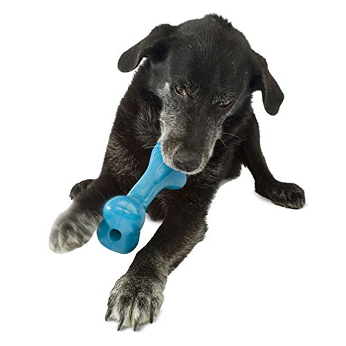 Planet Dog Orbee-Tuff Bone Blue Dog Chew Toy, Small