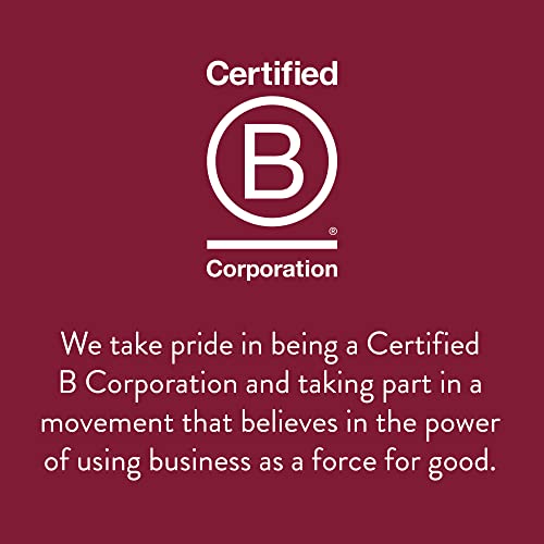 Stash Tea Chai Green Tea - Caffeinated, Non-GMO Project Verified Premium Tea with No Artificial Ingredients, 20 Count (Pack of 6) - 120 Bags Total