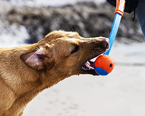 ChuckIt! High-Bounce Rubber Dog Fetch Ball, Small (Colors Vary) 2 Pack, for Large Breeds