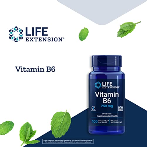 Life Extension Vitamin B6 250 mg – Glucose and Blood Sugar Supplement – For Cardiovascular and Neurological Health and Kidney and Eye Health - Gluten-Free, Non-GMO – 100 Vegetarian Capsules