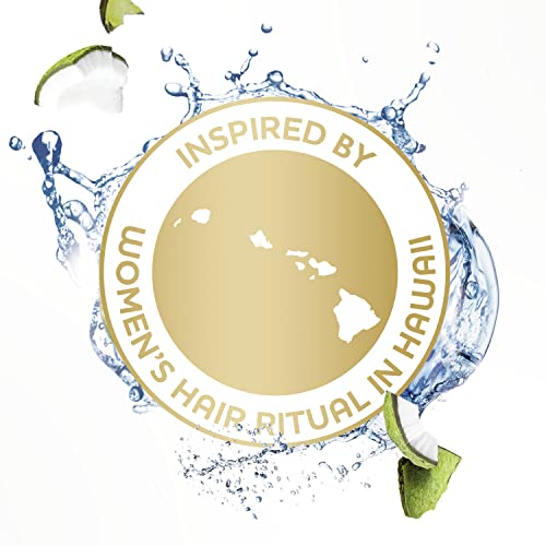 Dove Nourishing Secrets Hydrating Shampoo for Daily Use Coconut and Hydration Dry Hair Shampoo With Refreshing Lime Scent 12 oz, 6 Count