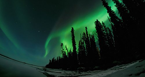 GoPro Tripod Mounts (All GoPro Cameras) - Official GoPro Mount, Black