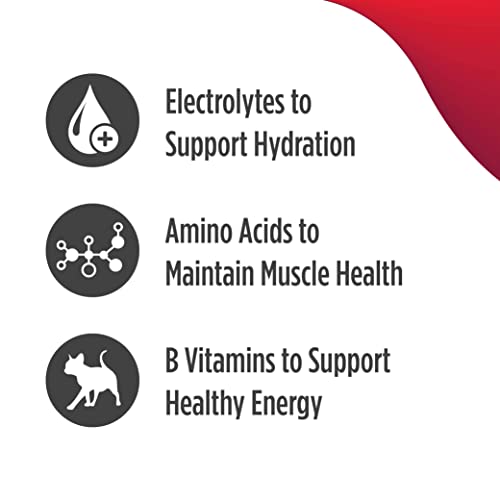 Nulo Hydrate Premium Water Enhancer for Cats, with Nutritional Electrolytes to Help Water Absorption Along with Amino Acids and Vitamins to Support Your Cats Overall Health, Pack of 12