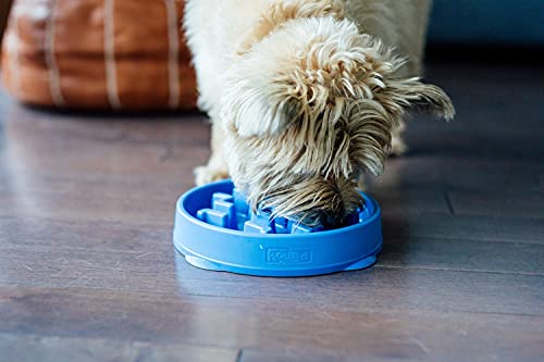 Outward Hound Fun Feeder Slo Bowl, Slow Feeder Dog Bowl, Medium/Mini, Blue