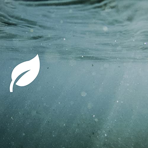 Dove Concentrate Shampoo And Conditioner Set For Dry Hair Moisturizes And Smooths In 30 seconds, 2X More Washes, Combo Pack, 20 fl oz (Pack of 2)