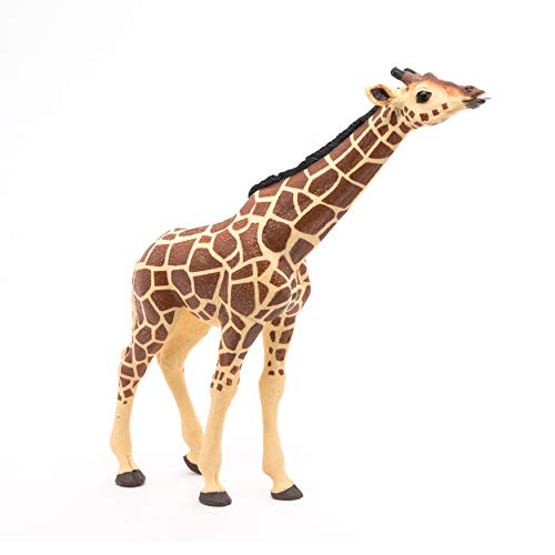 Papo -Hand-Painted - Figurine -Wild Animal Kingdom - Head Raised Giraffe -50236 -Collectible - for Children - Suitable for Boys and Girls- from 3 Years Old