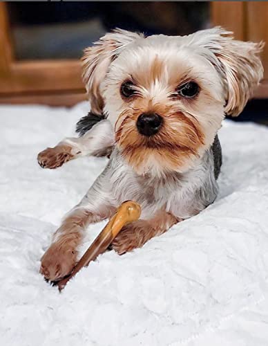 Nylabone Power Chew Flavor Frenzy Durable Dog Chew Toys Twin Pack Bacon Cheeseburger and Apple Pie Small/Regular (2 Count)