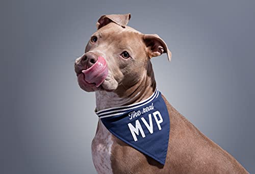 Brass Monkey The Real MVP Dog Bandana – Durable Cotton Pet Bandana, One Size Fits Most – 9” W x 6” H with 30” Tie Ribbon – Cute Dog Accessories with Eye-Catching Design
