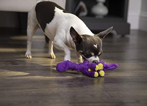 goDog Dinos Bruto Just for Me Squeaker Plush Pet Toy for Dogs and Puppies, Soft and Durable, Tough and Chew Resistant, Reinforced Seams - Purple, Mini