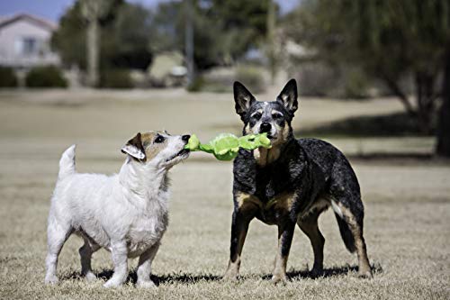 Jolly Pets Jolly Tug-a-Mal Frog Tug/Squeak Toy, Medium