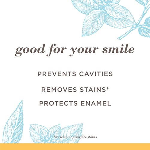 Burt’s Bees Extra White Toothpaste, Fluoride Toothpaste, Natural Flavor, Mountain Mint, 4.7 oz, Pack of 3