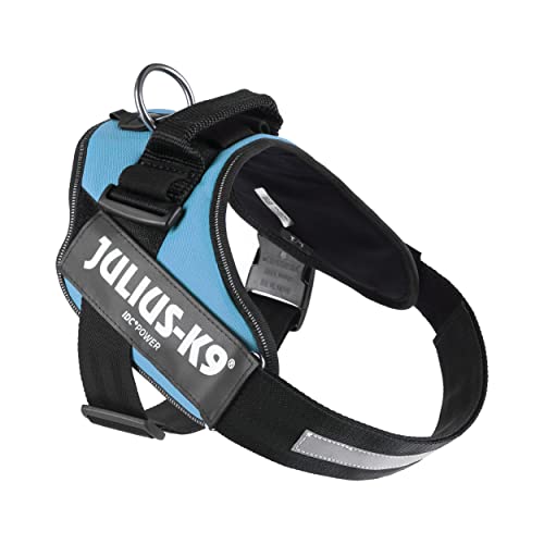 IDC Powerharness, Size: L/1, Aquamarine