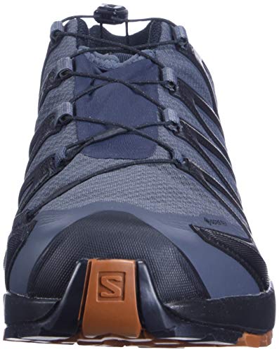 Salomon Men's XA PRO 3D v8 Gore-TEX Trail Running Shoes, Ebony/Caramel Cafe/Black, 9 Wide