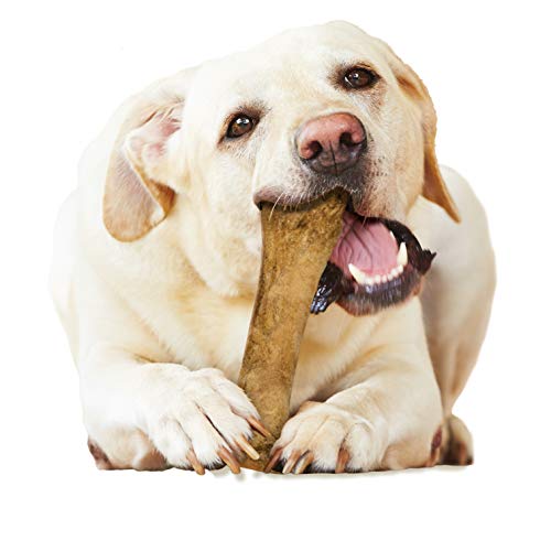 Nylabone Healthy Edibles All-Natural Long Lasting Chicken Flavor Dog Chew Treats 1 Count Chicken X-Large/Souper