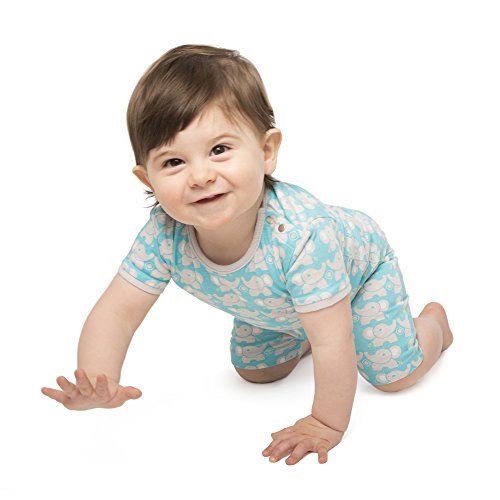 baby deedee Short Sleeve Cotton 2 Piece Tee Shirt/Shorts and Pajama Play Set, Teal Elephant, 12-18 Months