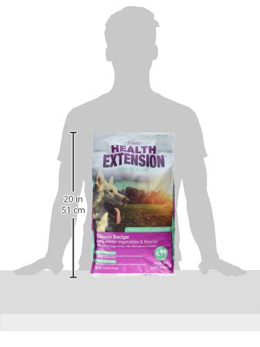 Health Extension Dry Dog Food, Natural Food with Added Vitamins and Minerals, Suitable for All Puppies, Grain Free, Salmon Recipe with Whole Vegetable and Berries (10 Pound)
