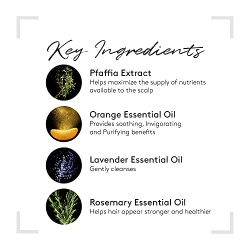 Rene Furterer TRIPHASIC Strengthening Shampoo, Thinning Hair, Scalp Microcirculation, Men and Women, Pump, 20.2 oz.