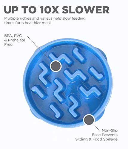 Outward Hound Fun Feeder Slo Bowl, Slow Feeder Dog Bowl, Medium/Mini, Blue