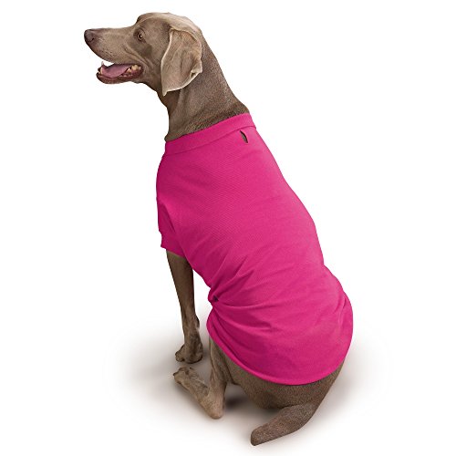 Zack and Zoey Cotton Polo Shirt for Dogs, 16' Medium, Raspberry Sorbet