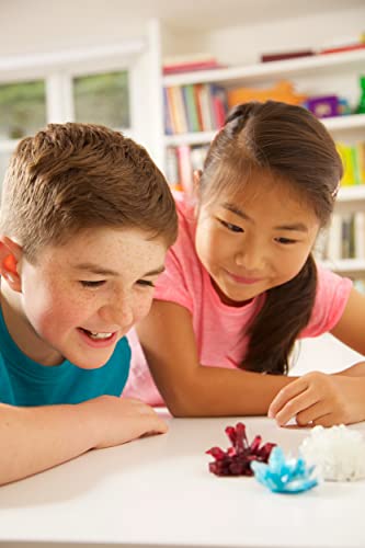 Toysmith Crystal Growing Science Kit - 3 Colored Crystals - Easy DIY STEM Lab Experiment Specimens, A Great Educational Gift, for Boys and Girls Ages 10+