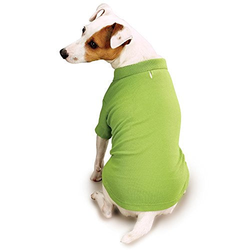 Zack and Zoey Cotton Polo Shirt for Dogs, 16' Medium, Parrot Green