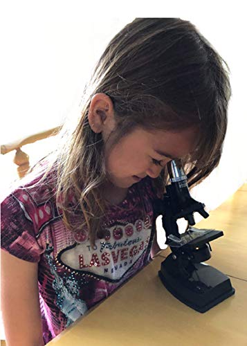 The Magic School Bus: Microscope Lab