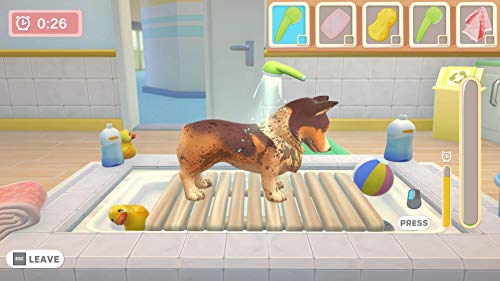 My Universe - Pet Clinic: Cats and Dogs (NSW) - Nintendo Switch