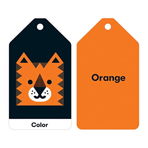 Mudpuppy Little Learner Ring Flash Cards for Kids – 26 Double-Sided Early Learning Flash Cards on a Reclosable Ring to Teach Colors, Shapes, and Numbers – Learning Games for Toddlers and Preschoolers