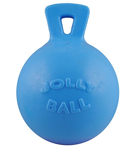 Jolly Pets Tug-n-Toss Heavy Duty Dog Toy Ball with Handle, 4.5 Inches/Small, Blueberry, JP445BLUEBERRY
