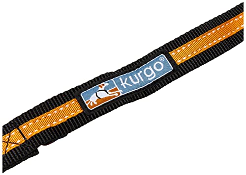 Kurgo Direct To seat belt Tether for Dogs, Universal Car seat belt for Pets, Adjustable Length Dog Safety Belt, quick and Easy Installation, Carabiner clip, Compatible with Any Pet Harness (Orange)