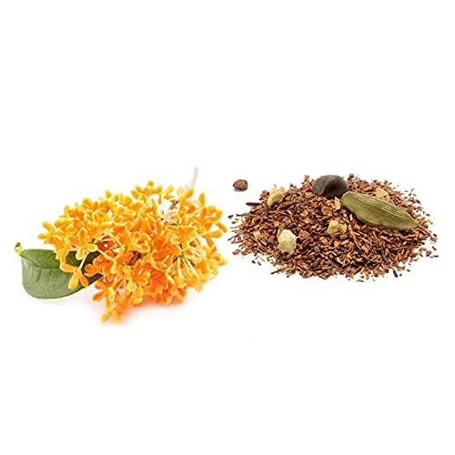 Derek Lam 10 Crosby - Blackout - 5.9 Oz Eau De Parfum - Fragrance Mist For Women - Woody And Floral Scent - Perfume Spray With Milky Osmanthus And Sweet Chai Tea Accords