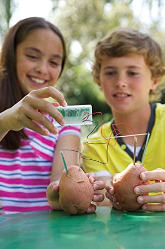 4M Potato Clock DIY Green Science Chemistry Engineering Lab - STEM Toys Educational Gift for Kids and Teens, Girls and Boys, Brown