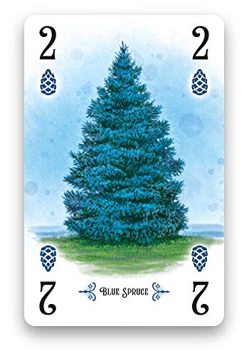 Renegade Game Studios Arboretum Strategy Card Game that Challenges 2-4 Players Aged 8 and Up to Create the Most Beautiful Garden (packaging may vary)