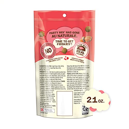 Purina Friskies Natural Cat Treats, Party Mix Natural Yums With Real Salmon and Vitamins, Minerals and Nutrients - (10) 2.1 oz. Pouches