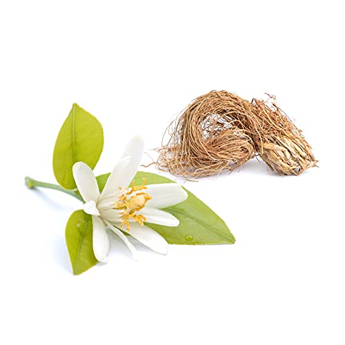 Derek Lam 10 Crosby - Rain Day - 3.4 Oz Eau De Parfum - A Refreshing, Light Fragrance Mist For Women - Perfume Spray With Citrusy Neroli And Green Vetiver Notes