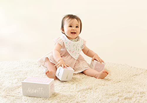 Baby Aspen My First Milestone Princess Age Blocks | Baby Picture Props for Photo Sharing The First Year