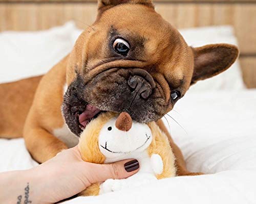 Pet Qwerks Plush Interactive Dog Toys - Chattering Hedgehog - 7.5 in for Large, Beige