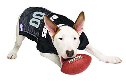 NFL Las Vegas Raiders Dog Jersey, Size: Medium. Best Football Jersey Costume for Dogs and Cats. Licensed Jersey Shirt.