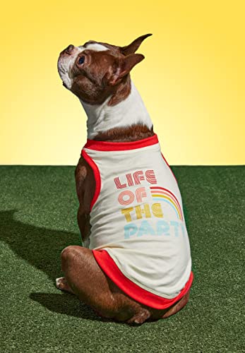 Brass Monkey Life of The Party Dog Tank; Pre-Shrunk Cotton Pet Muscle Tank; Medium (22' Chest); Cute Dog Accessories with Eye-Catching Design