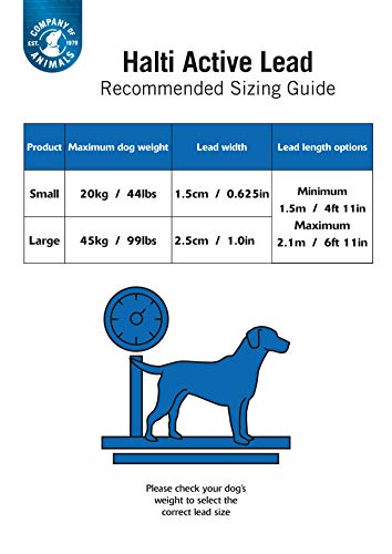 The Company of Animals - Halti All-In-One Lead (6' 6'), Large, Black/Grey (HA032)