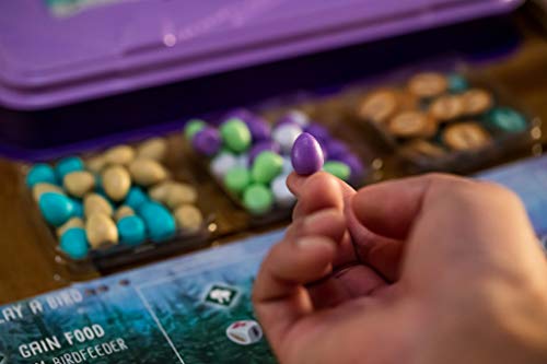 Stonemaier Games: Wingspan European Expansion Board Game