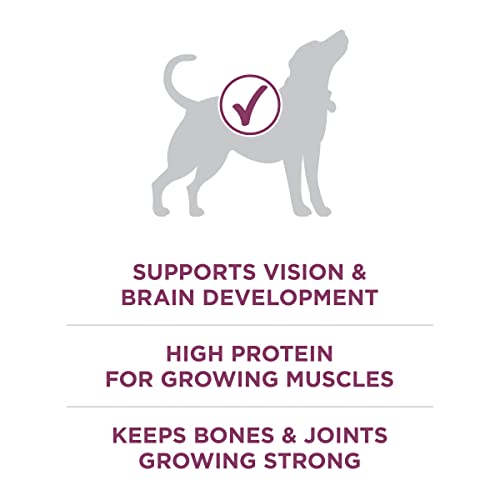 Purina ONE Plus Healthy Puppy Formula High Protein Natural Dry Puppy Food with added vitamins, minerals and nutrients - (4) 4 lb. Bags